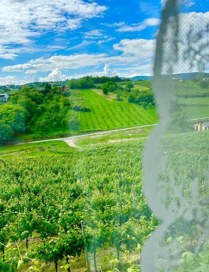 Wine Paradise Sveti Ivan Zelina المظهر الخارجي الصورة