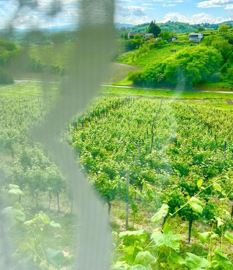 Wine Paradise Sveti Ivan Zelina المظهر الخارجي الصورة