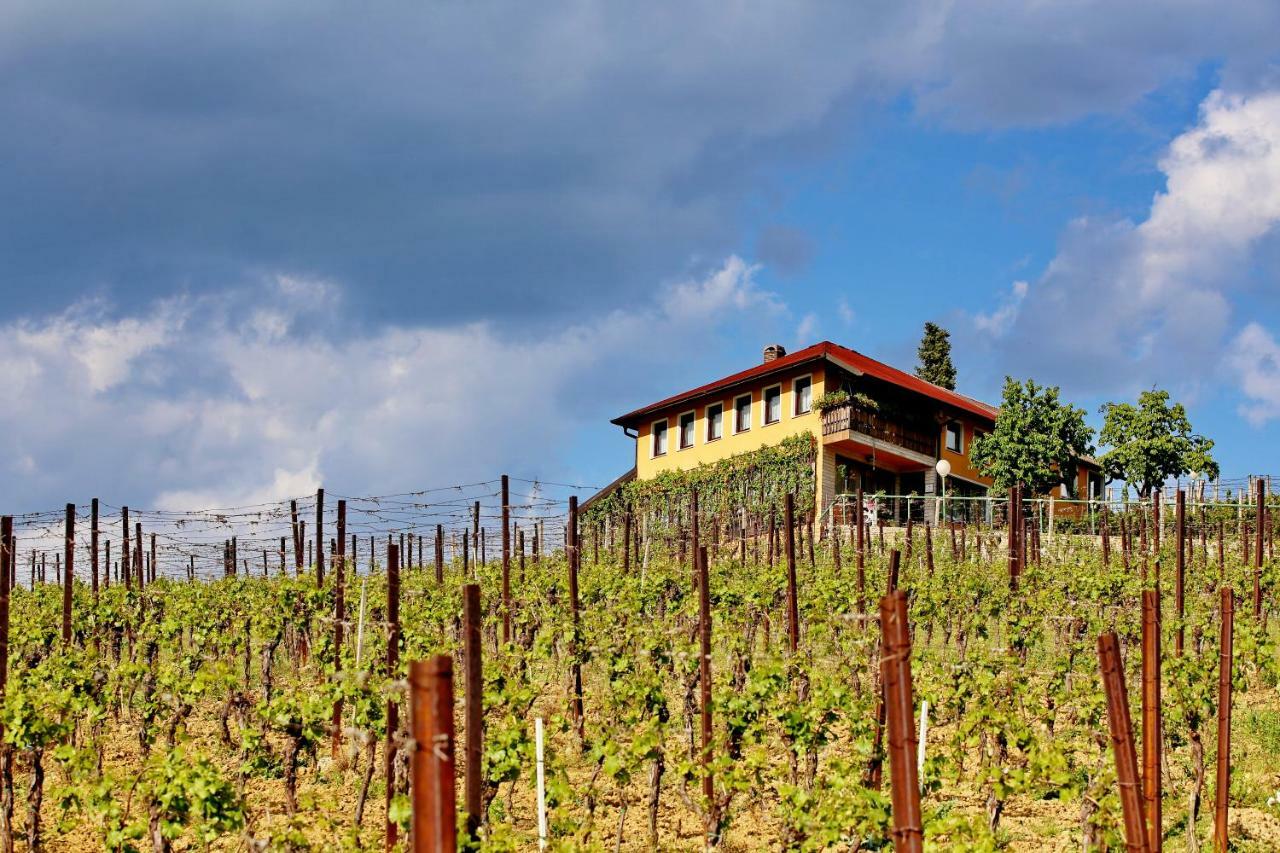 Wine Paradise Sveti Ivan Zelina المظهر الخارجي الصورة