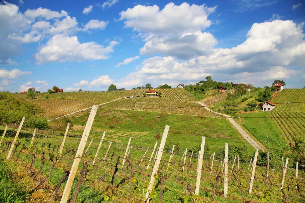 Wine Paradise Sveti Ivan Zelina المظهر الخارجي الصورة